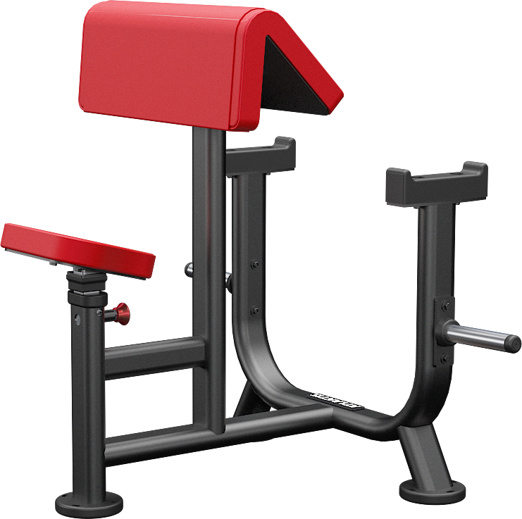 Pure fitness best sale preacher curl