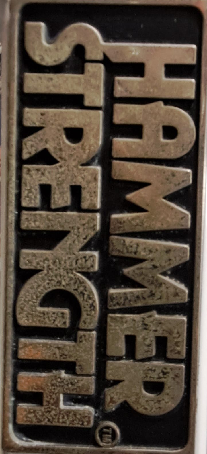 Hammer Strength Behind the Neck Shoulder Press - Pre Owned