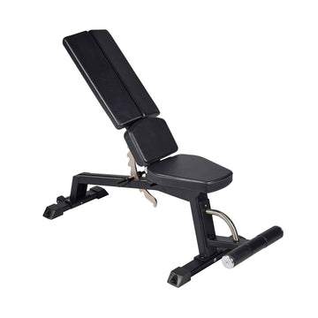 Adjustable Dumbbell Exercise Bench