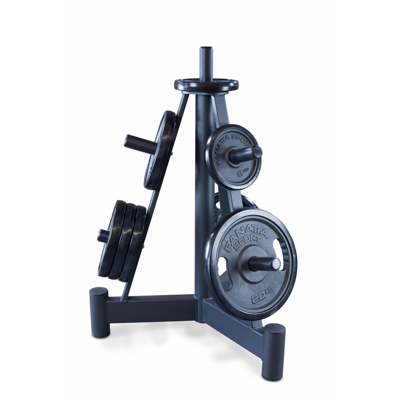 DISK RACK