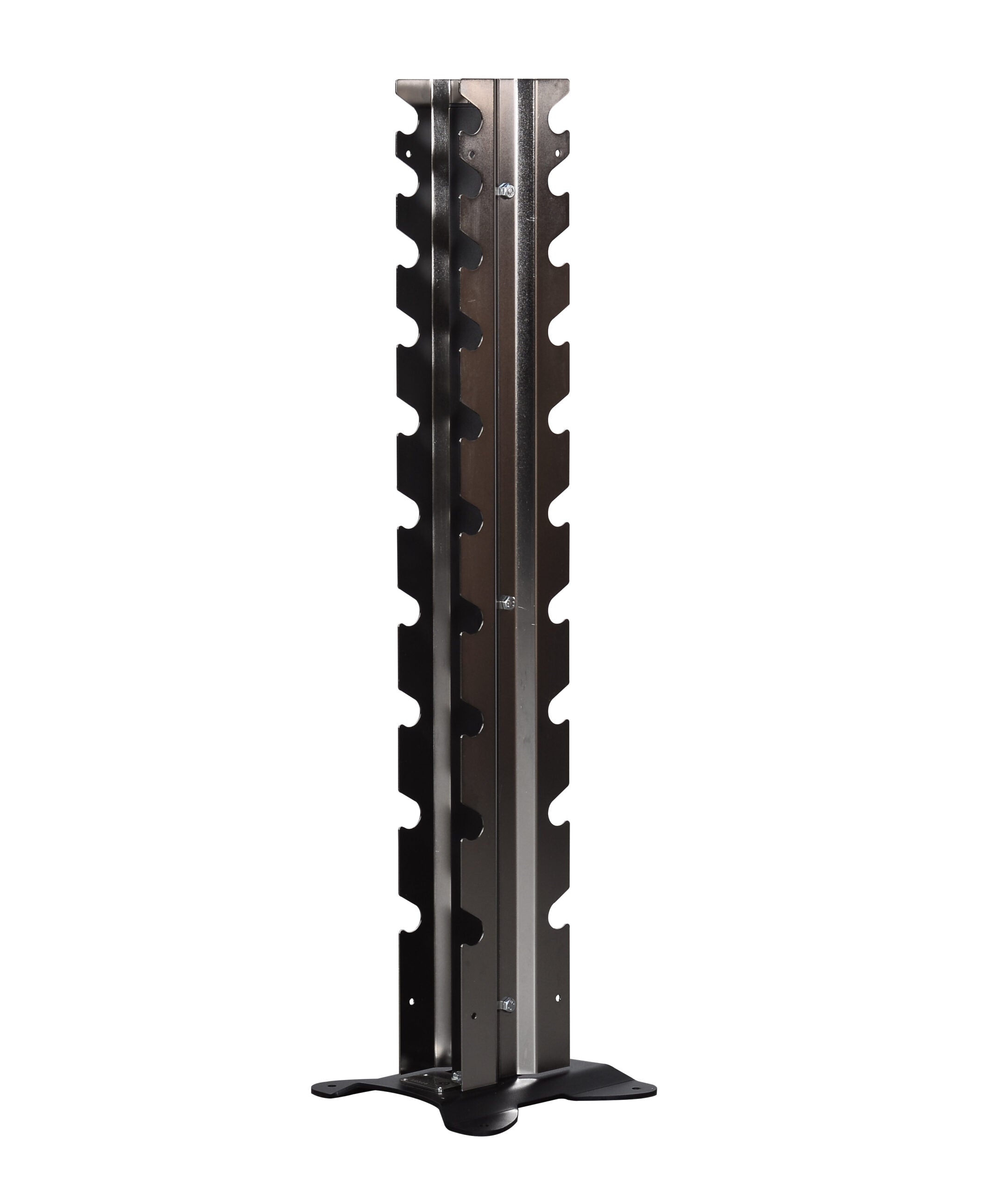 Northern lights dumbbell discount rack