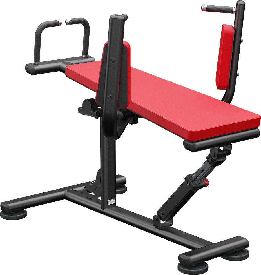 Adjustable leg raise – Pure Muscle + Athletics
