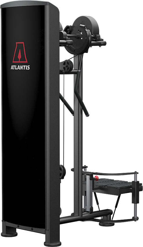 Standing lateral raise – Pure Muscle + Athletics