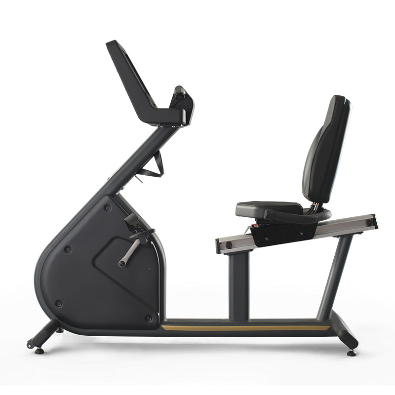 HORIZONTAL BIKE FENIX TOUCH
