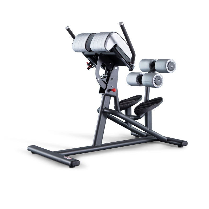 ADJUSTABLE BACK EXTENSION