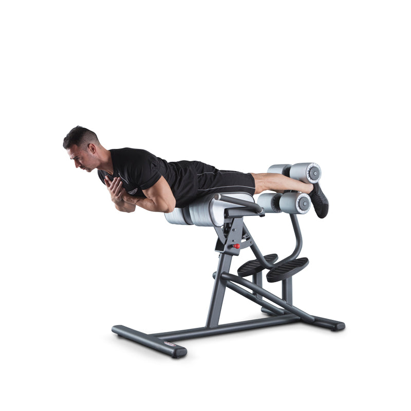 ADJUSTABLE BACK EXTENSION