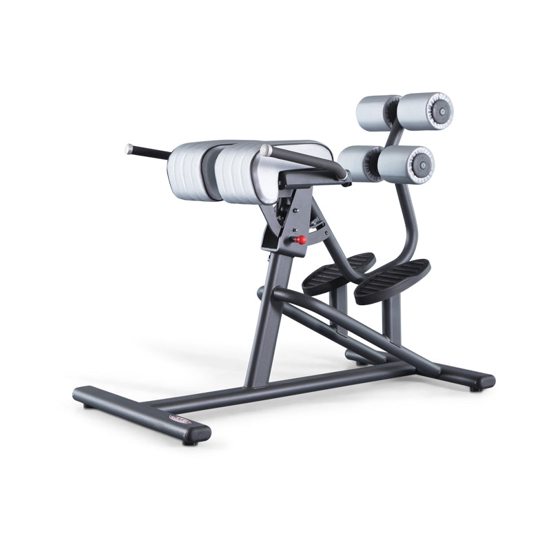 ADJUSTABLE BACK EXTENSION