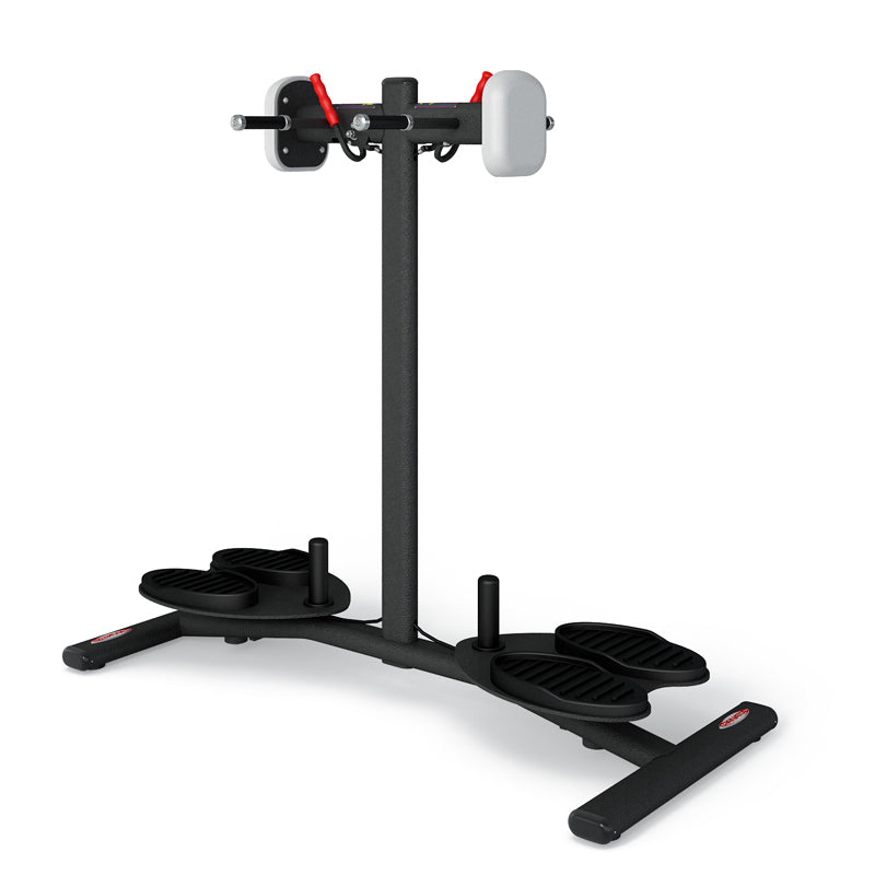STANDING  DOUBLE TWISTER
