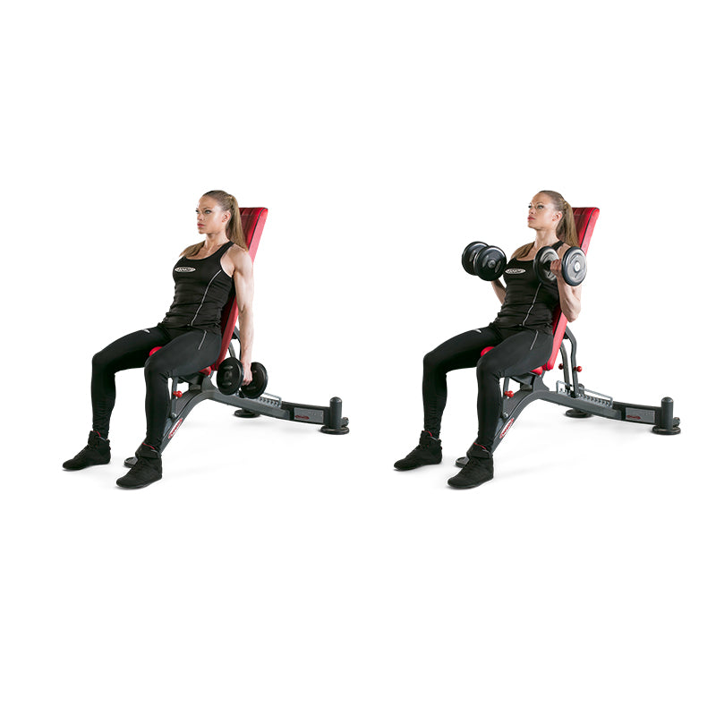 FULLY ADJUSTABLE BENCH